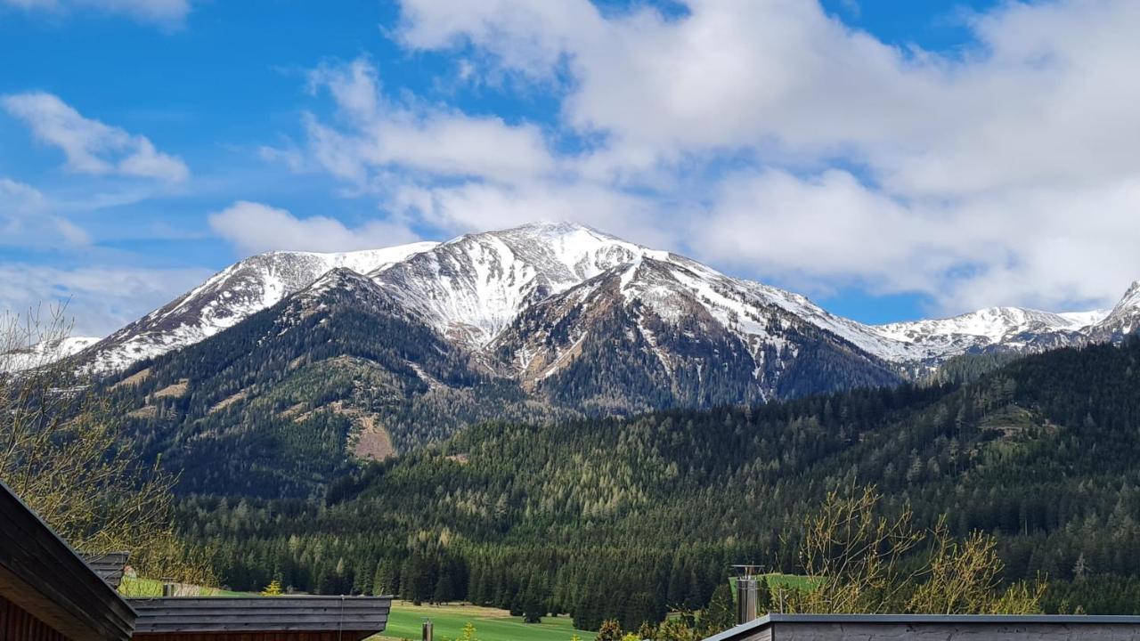 Villa Haus Emmy - Urlaub Bei Freunden Hohentauern Exterior foto
