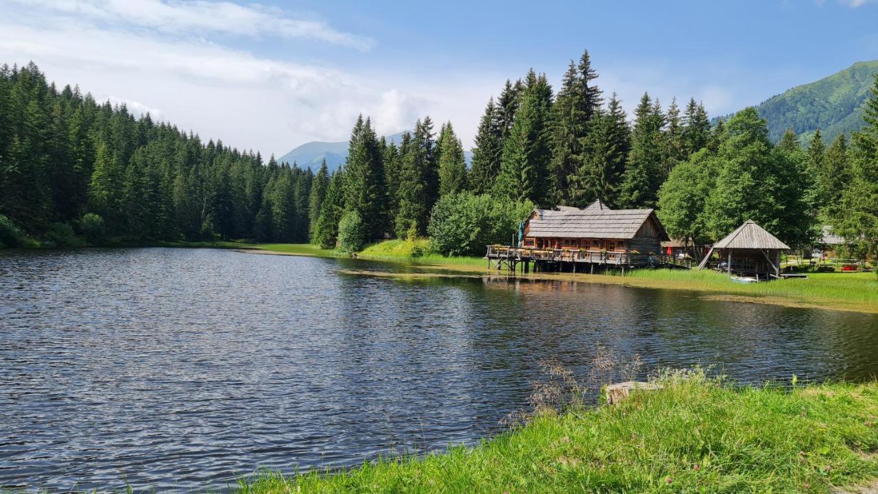Villa Haus Emmy - Urlaub Bei Freunden Hohentauern Exterior foto