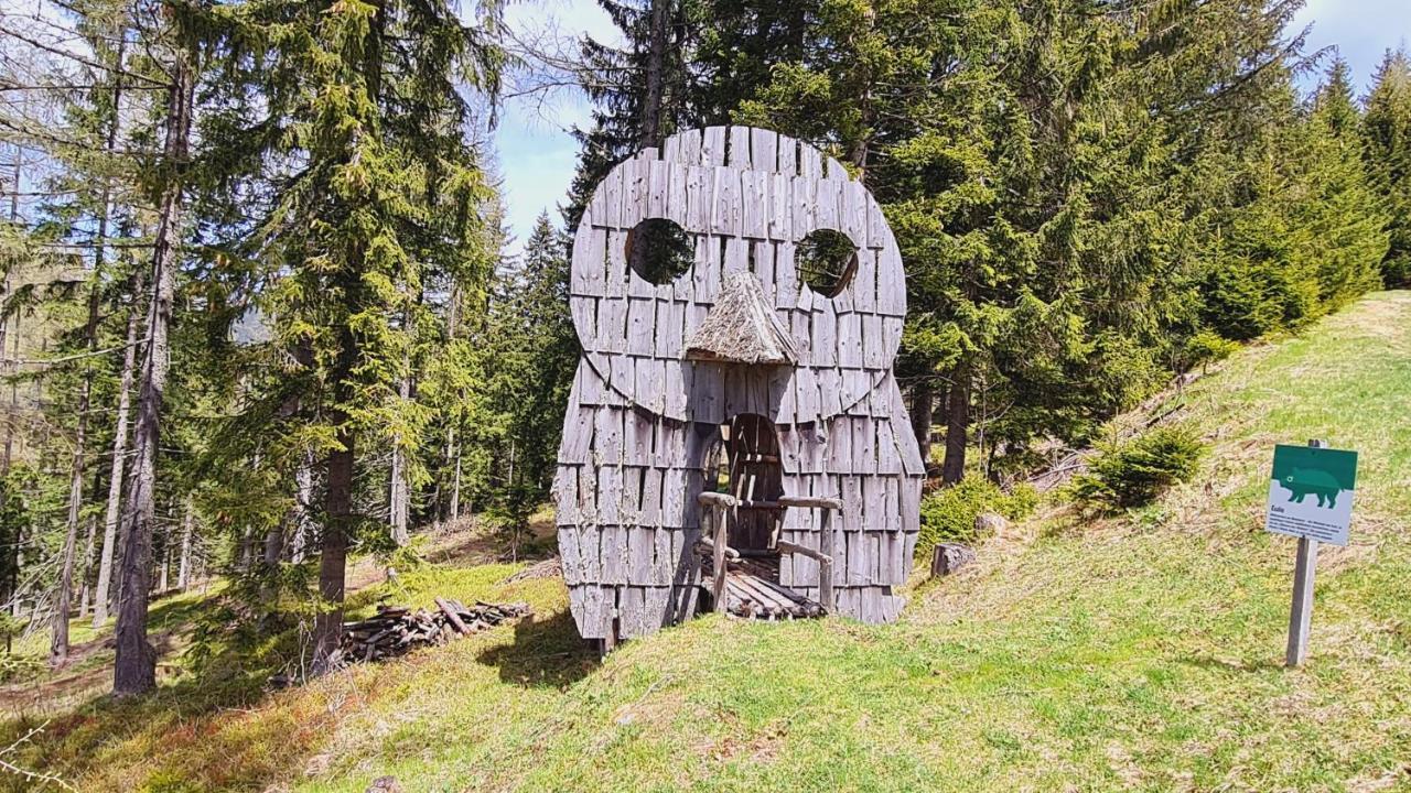 Villa Haus Emmy - Urlaub Bei Freunden Hohentauern Exterior foto
